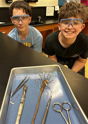 7th grade science dissection 2025 12.jpg